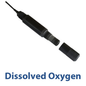 Dissolved Oxygen